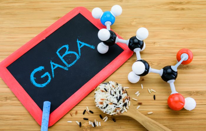 GABA(ギャバ)とは?自律神経のバランスを整えリラックス効果を高める食品と秘訣 - サプリ専門店 ギャバ太郎SHOP本店